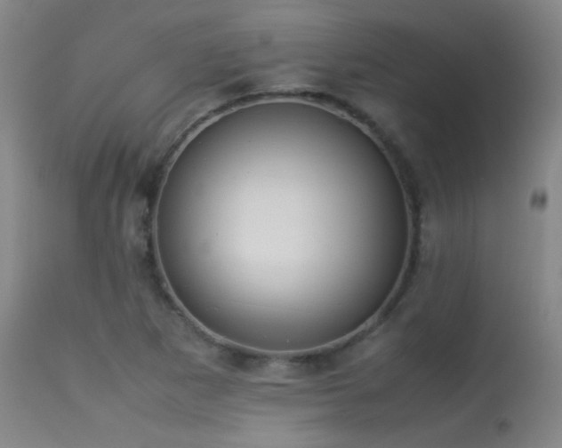 X0000113261265200909171641