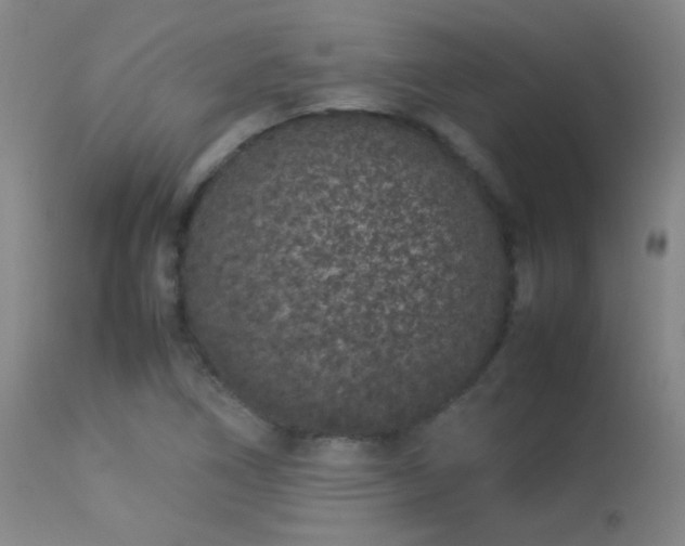 X0000113261266200909171641