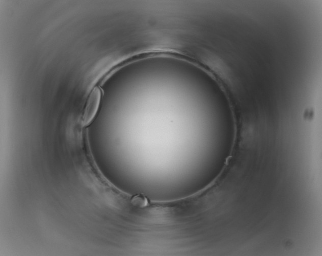 X0000113261268200909171641