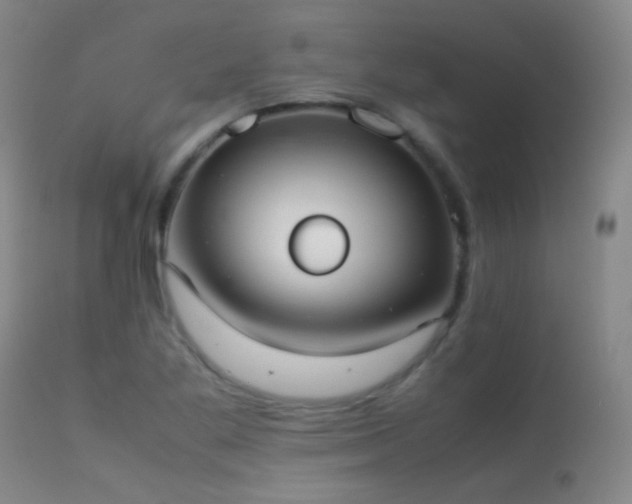 X0000113261269200909171641