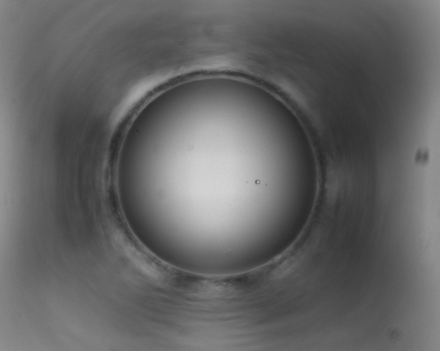 X0000113261270200909171641