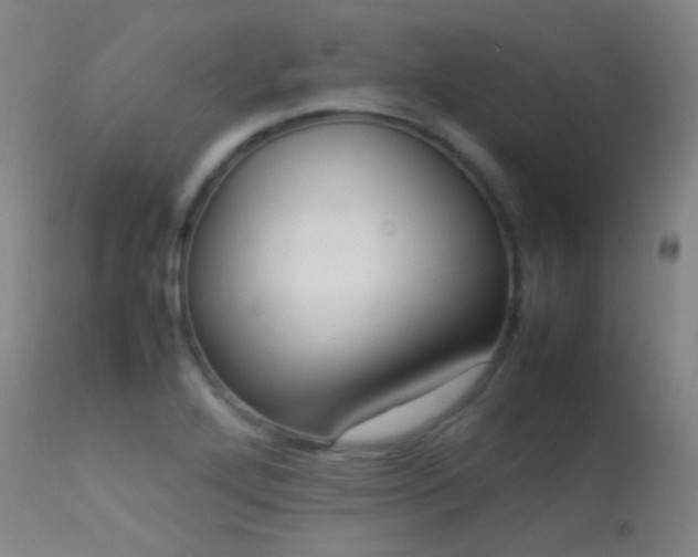 X0000113261272200909171641