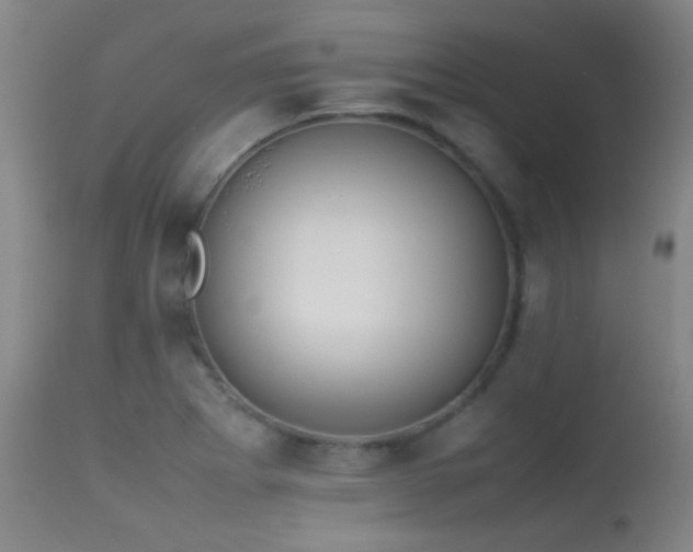 X0000113261273200909171641