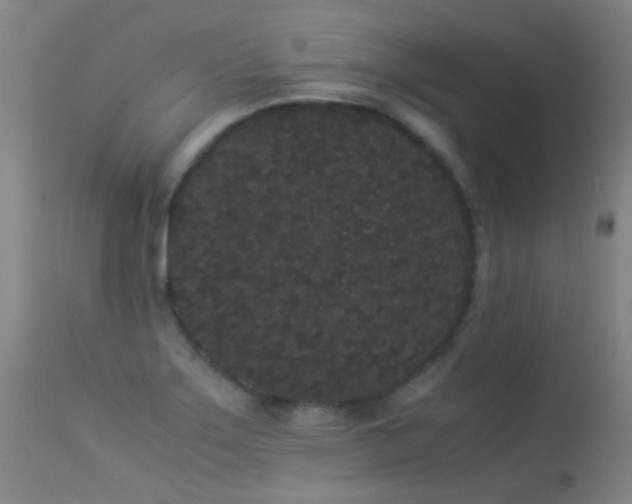 X0000113261275200909171641