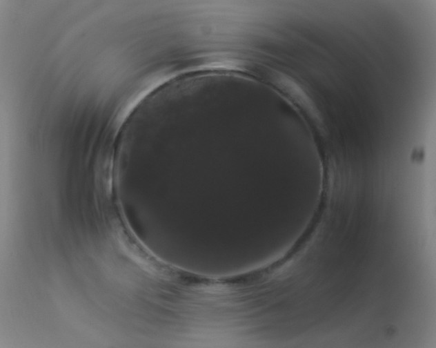 X0000113261276200909171641