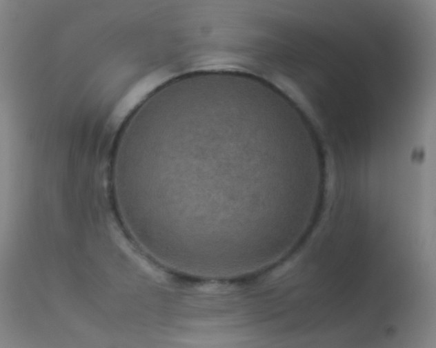 X0000113261277200909171641