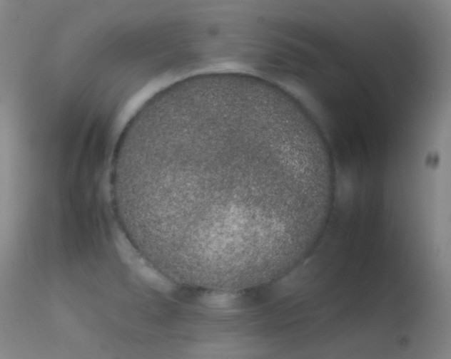 X0000113261278200909171641