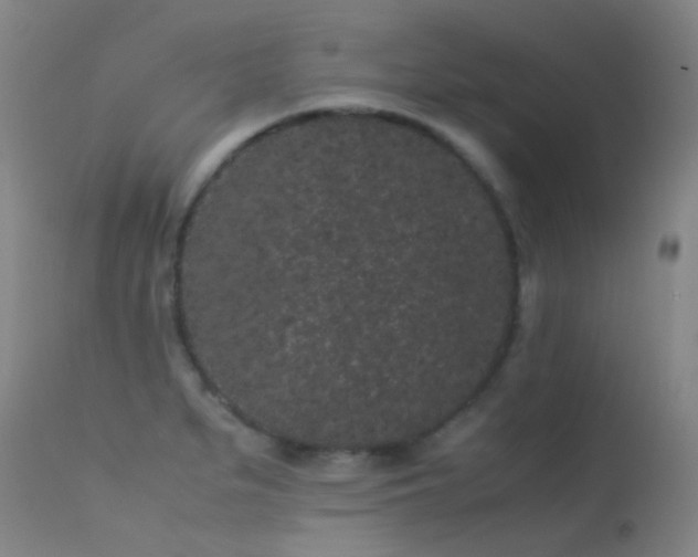 X0000113261279200909171641