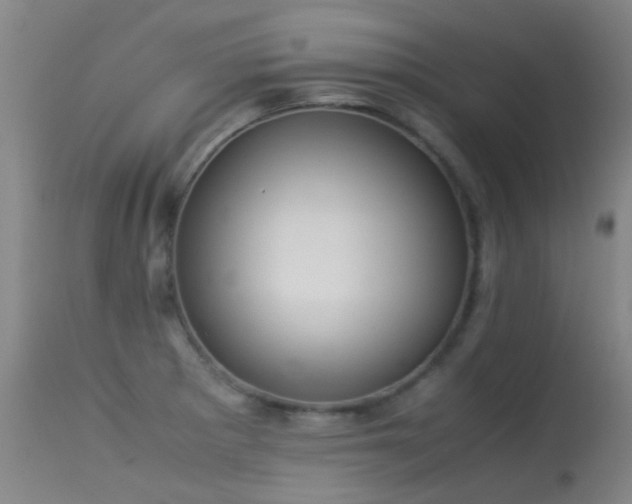 X0000113261281200909171641