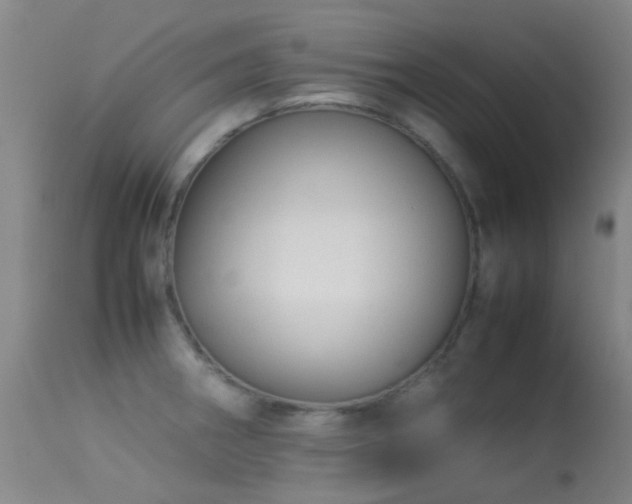 X0000113261282200909171641