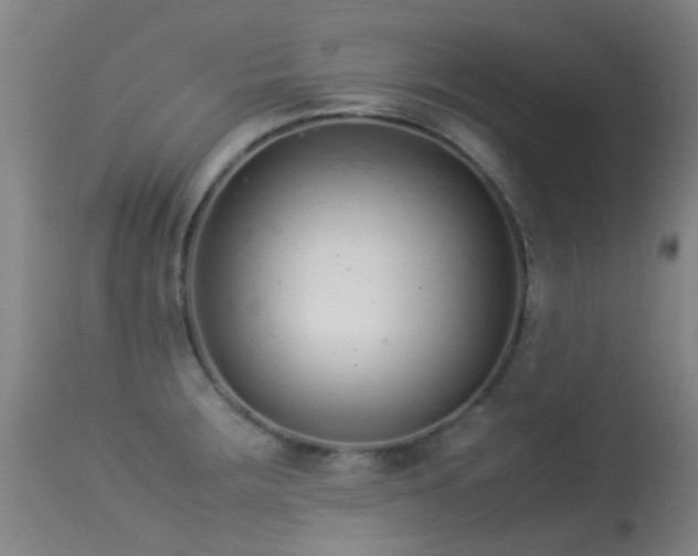 X0000113261283200909171641