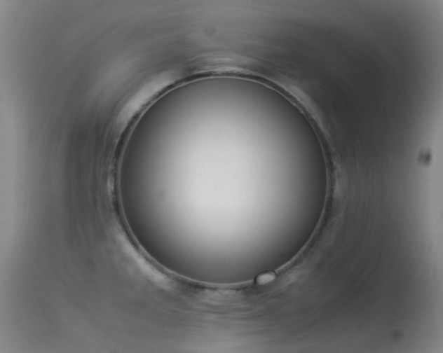 X0000113261285200909171641