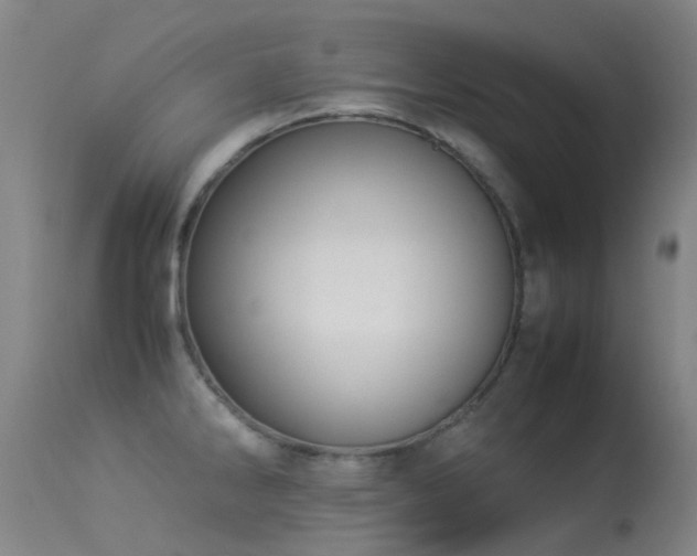 X0000113261286200909171641