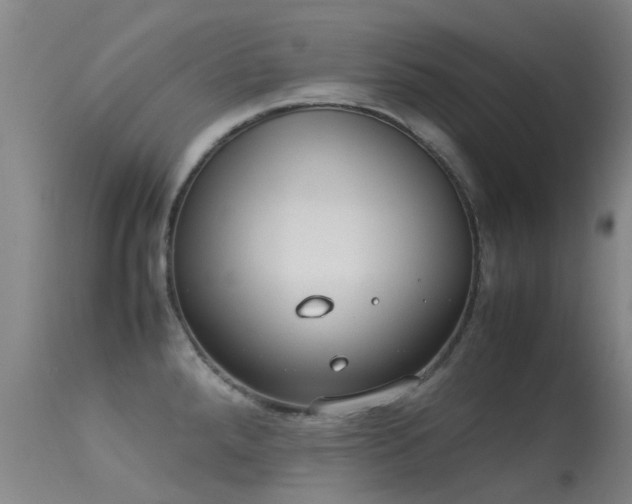 X0000113261288200909171641