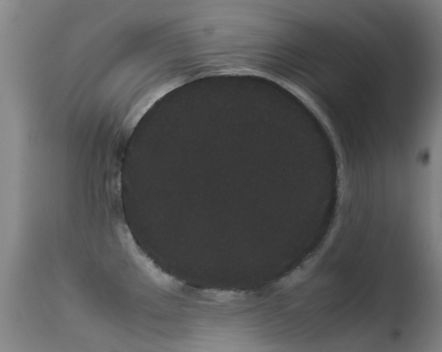 X0000113261289200909171641