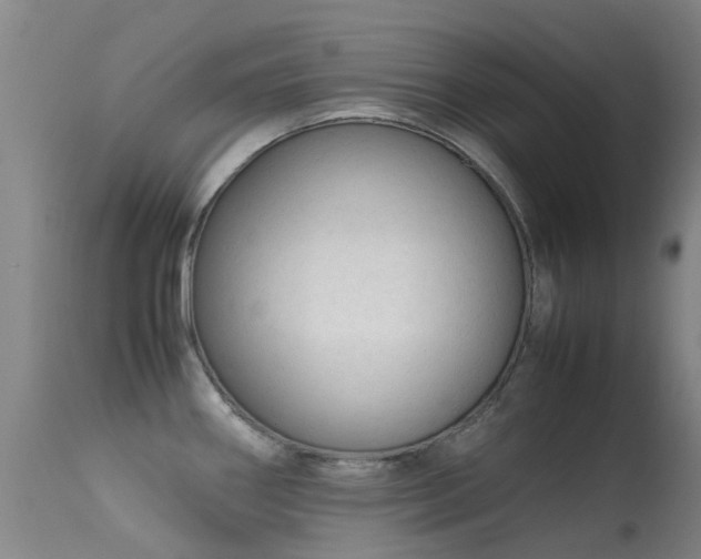 X0000113261290200909171641