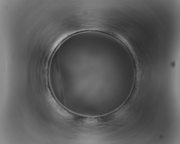 X0000113261291200909171641