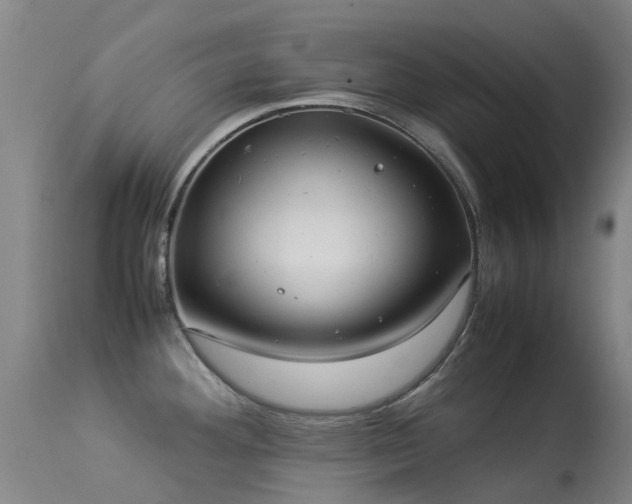 X0000113261292200909171641