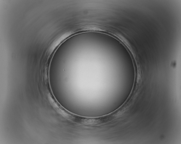 X0000113261293200909171641