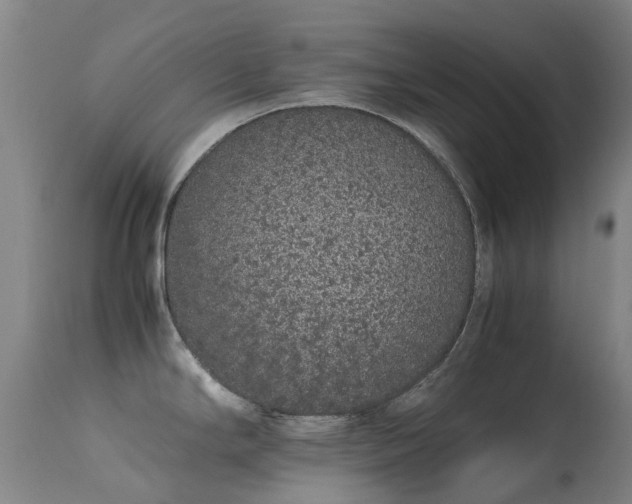 X0000113261294200909171641