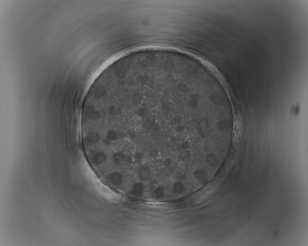 X0000113261295200909171641