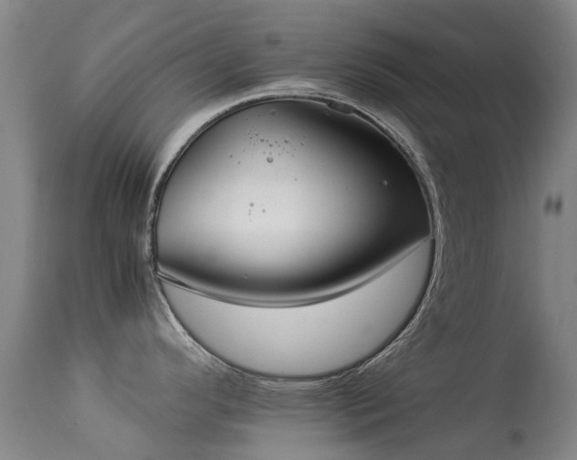 X0000113261296200909171641