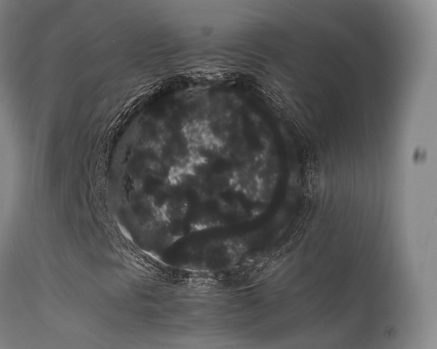 X0000113261297200909171640