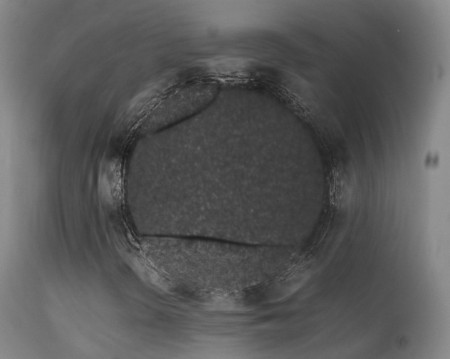 X0000113261298200909171640