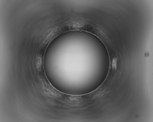 X0000113261299200909171640