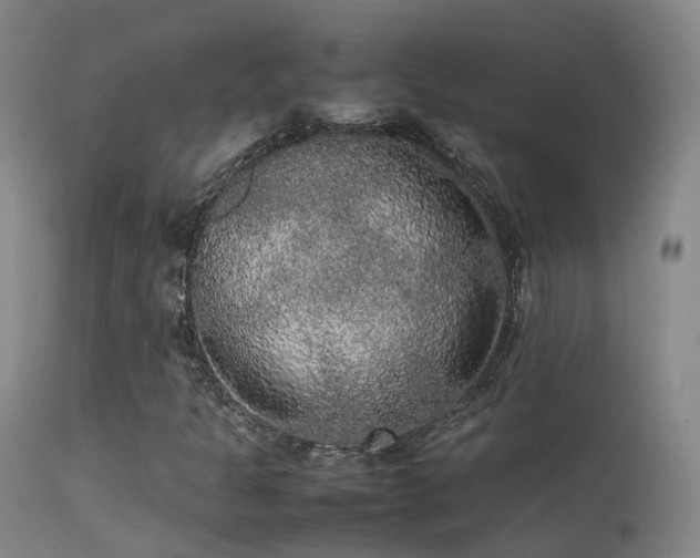 X0000113261301200909171640