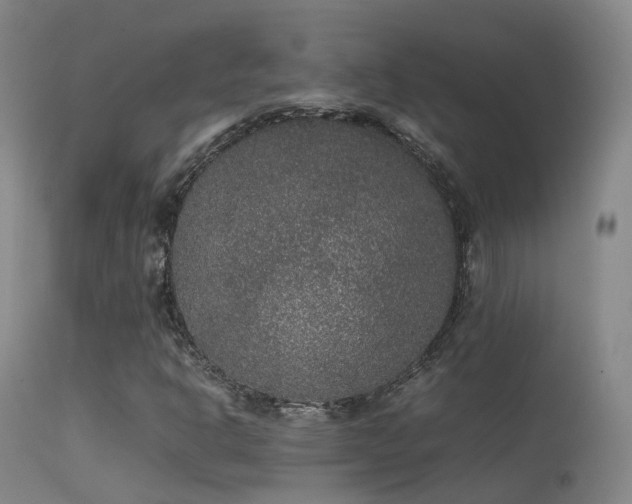 X0000113261302200909171640