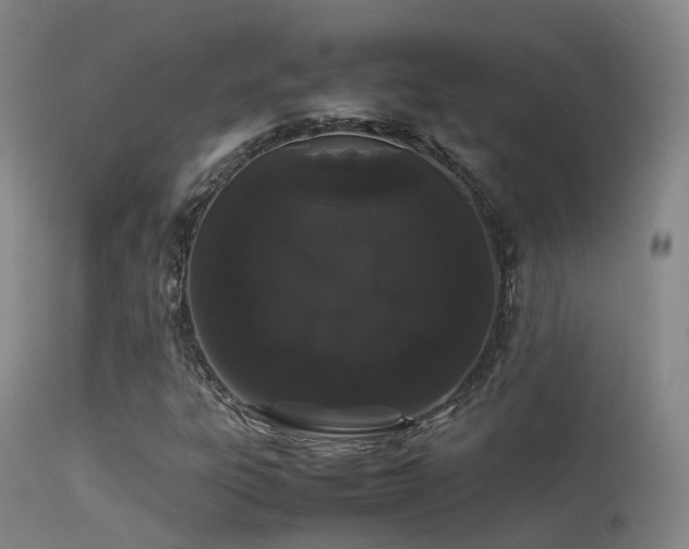 X0000113261303200909171640