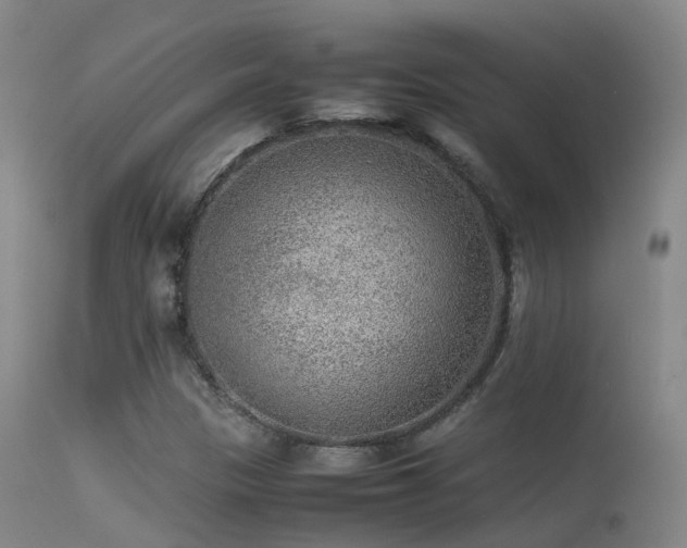 X0000113261305200909171640