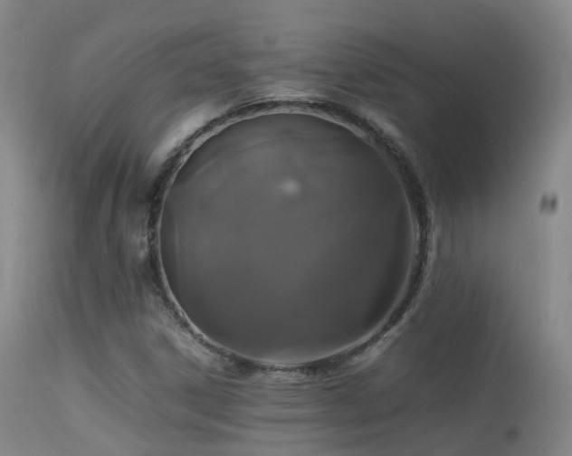 X0000113261306200909171640