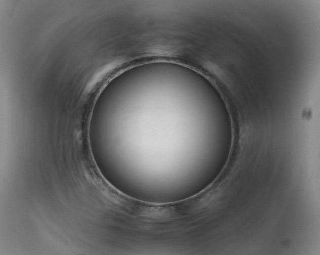 X0000113261307200909171640