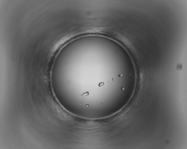 X0000113261308200909171640