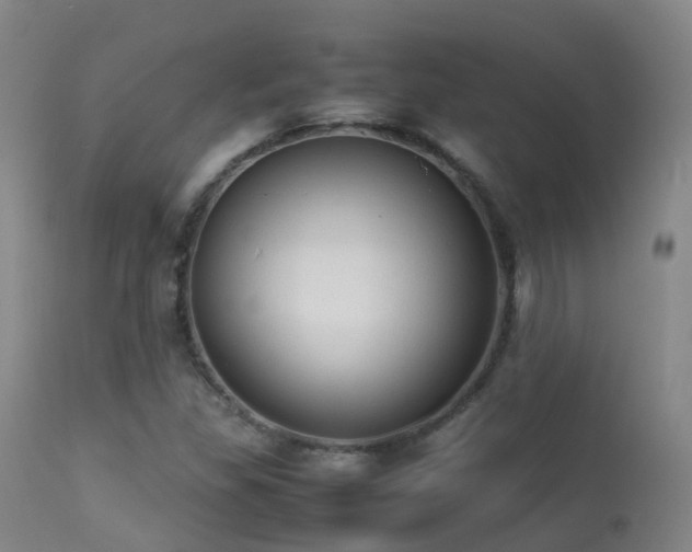 X0000113261309200909171640