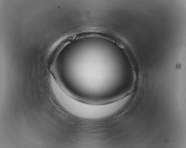 X0000113261310200909171640