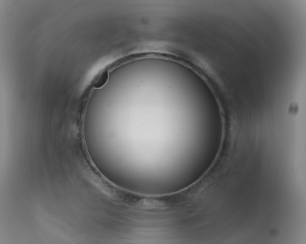 X0000113261312200909171640