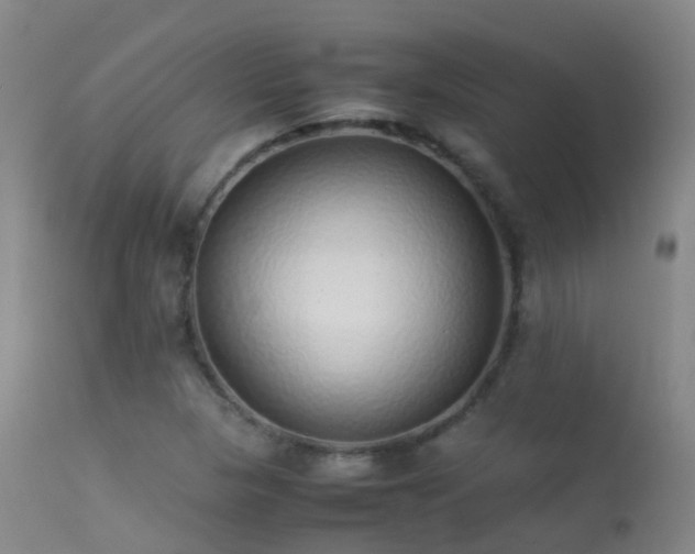 X0000113261313200909171640