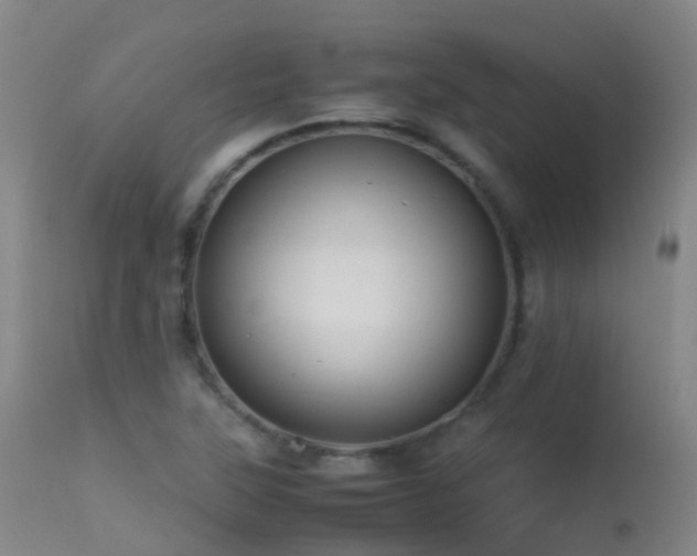 X0000113261315200909171640