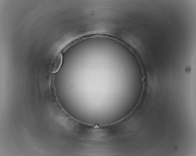 X0000113261316200909171640