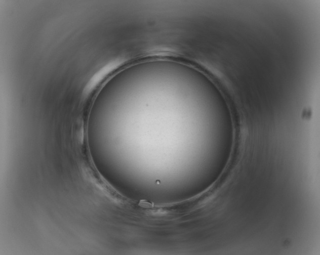 X0000113261317200909171640