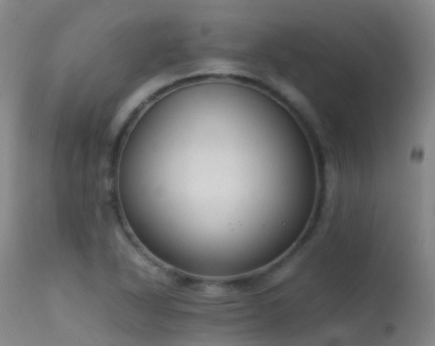 X0000113261318200909171640