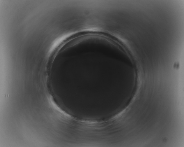 X0000113261319200909171640