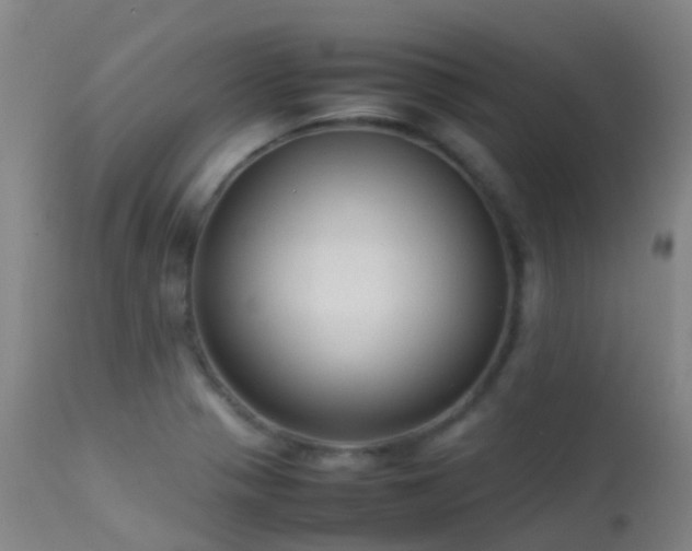 X0000113261321200909171640