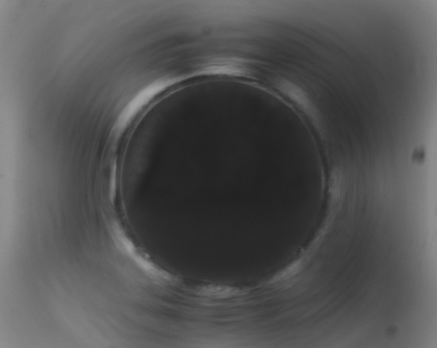 X0000113261323200909171640