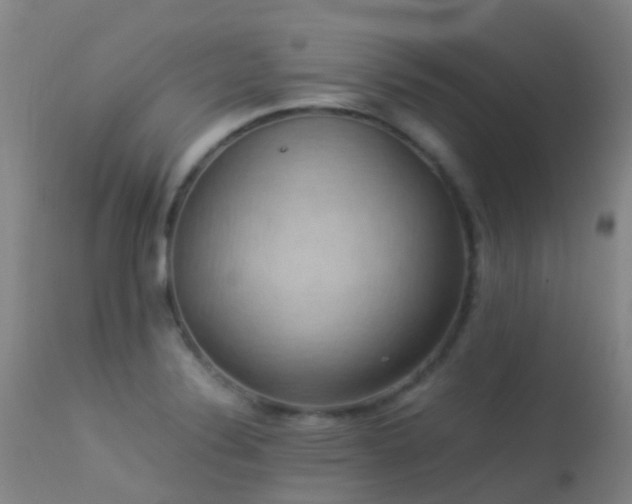 X0000113261324200909171640