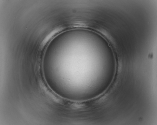 X0000113261325200909171640