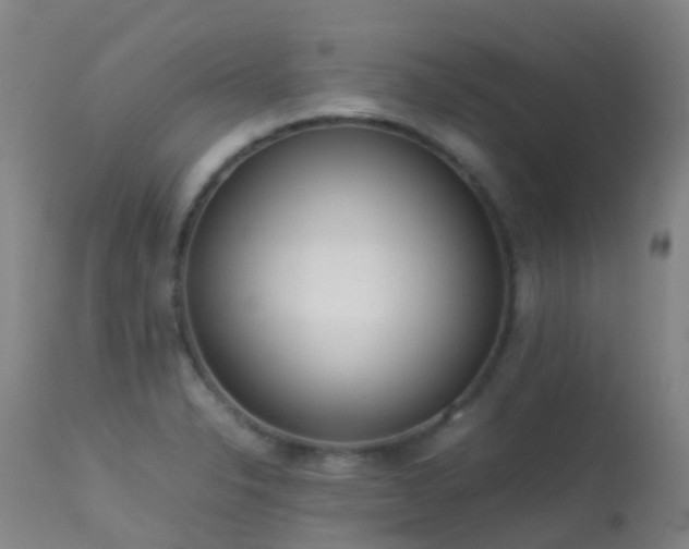 X0000113261326200909171640